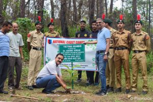 Tree Plantation 2024