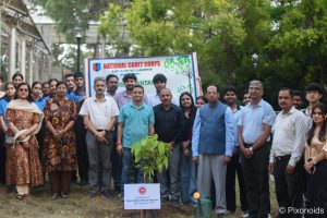 Tree Plantation Drive