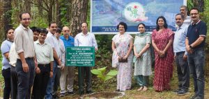 Tree Plantation 2024